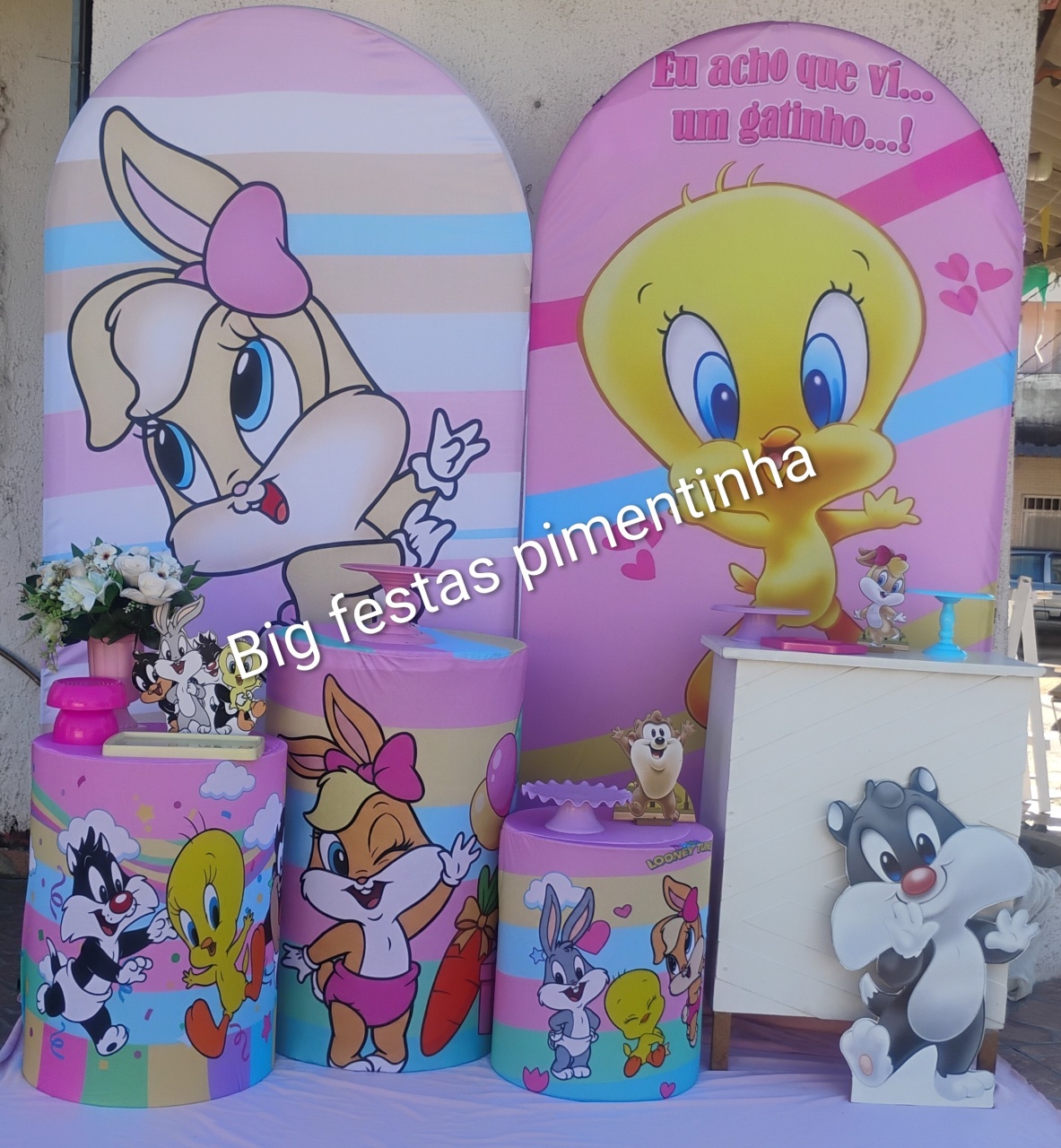 Kit Diamante Romano Baby Lonney Tunnes - big festas pimentinha