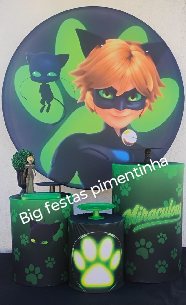 Kit Prata Cat / Lady Bug - big festas pimentinha