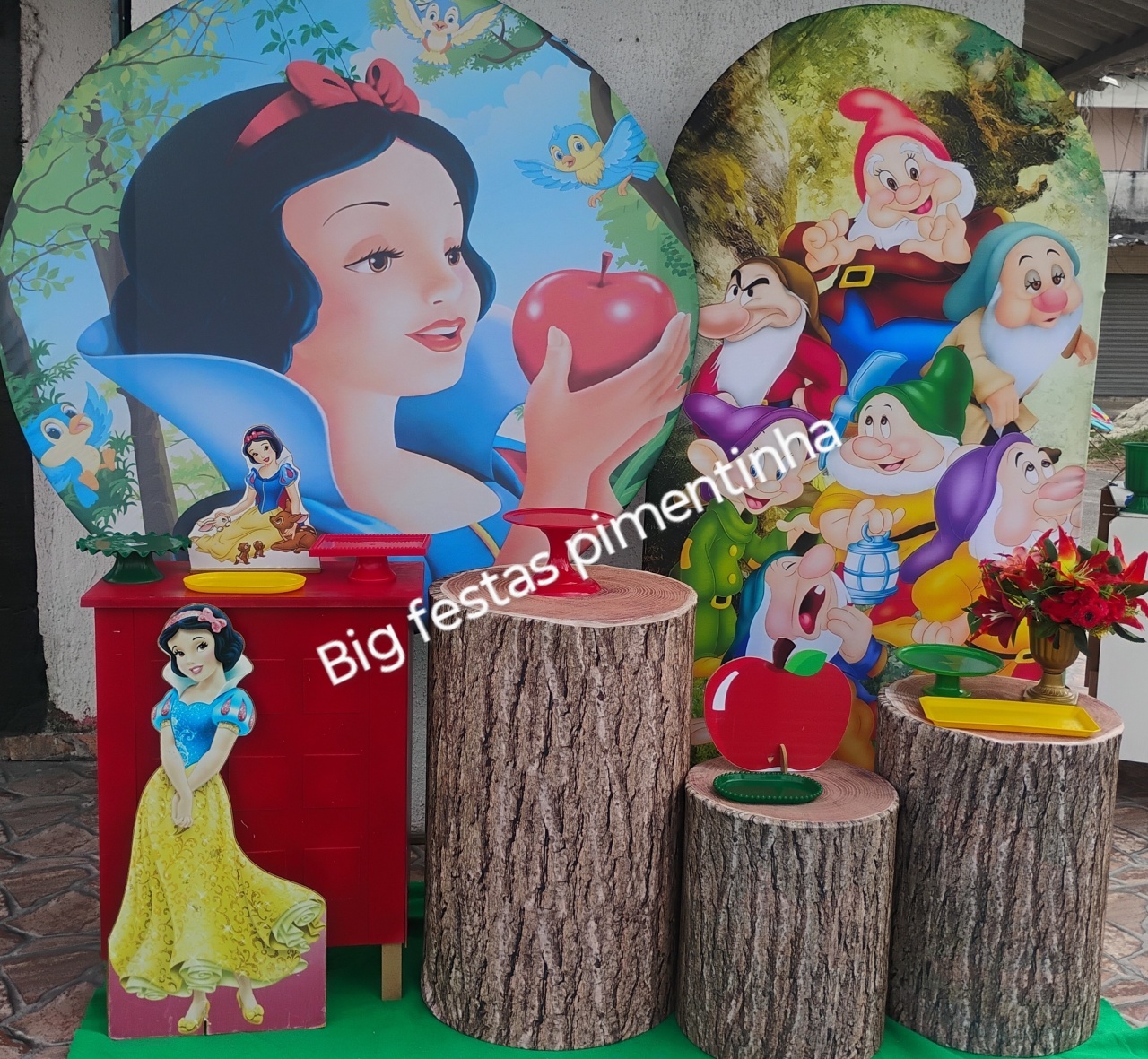 Kit Diamante Branca de Neve Adulta 3 - big festas pimentinha