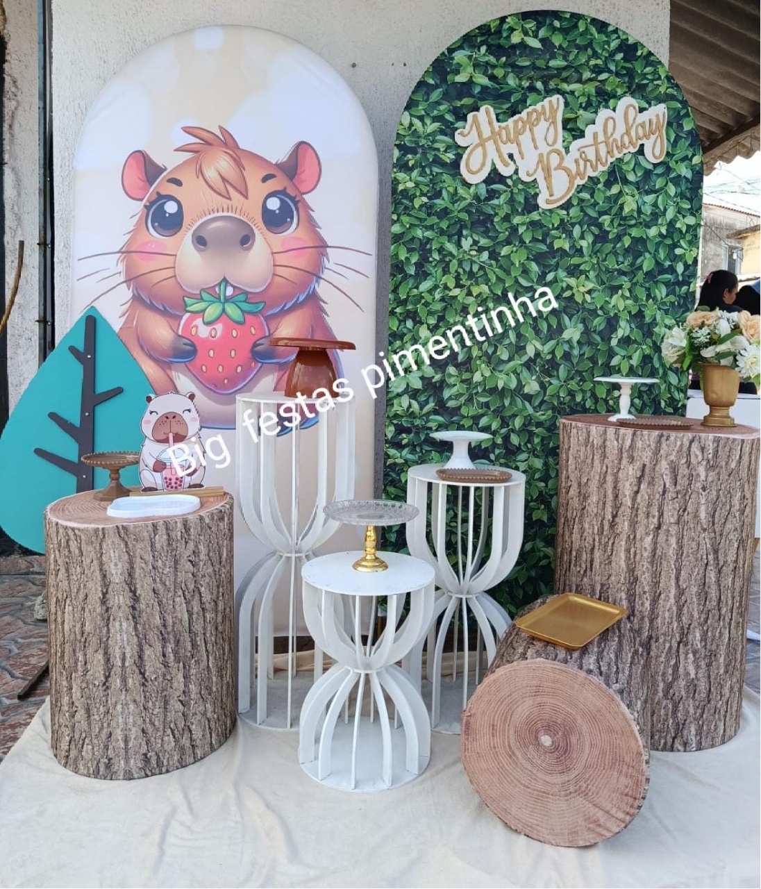 Kit Composição Capivara 3  - big festas pimentinha
