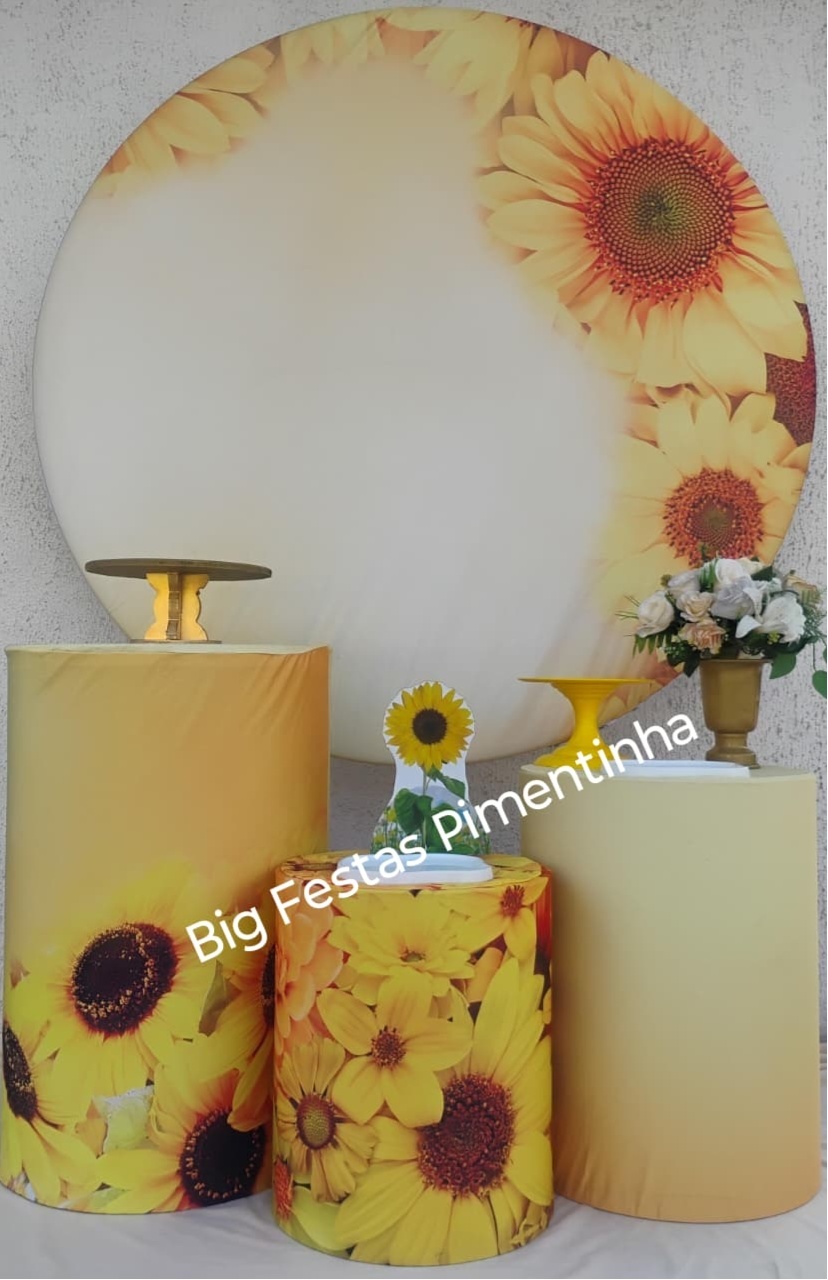 Kit Prata Girasol - big festas pimentinha