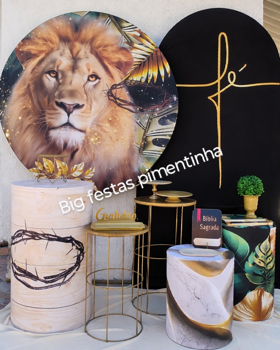 Leão Kit Diamante  - big festas pimentinha