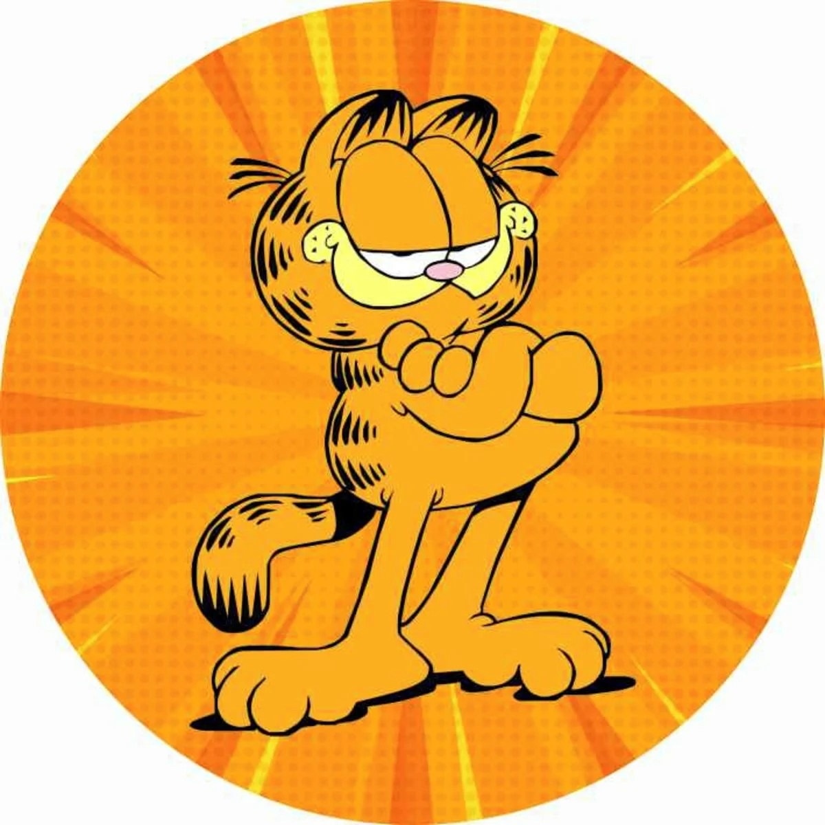 Kit Mesa Com Balão - Garfield  - É Só Um Bolinho Locações 