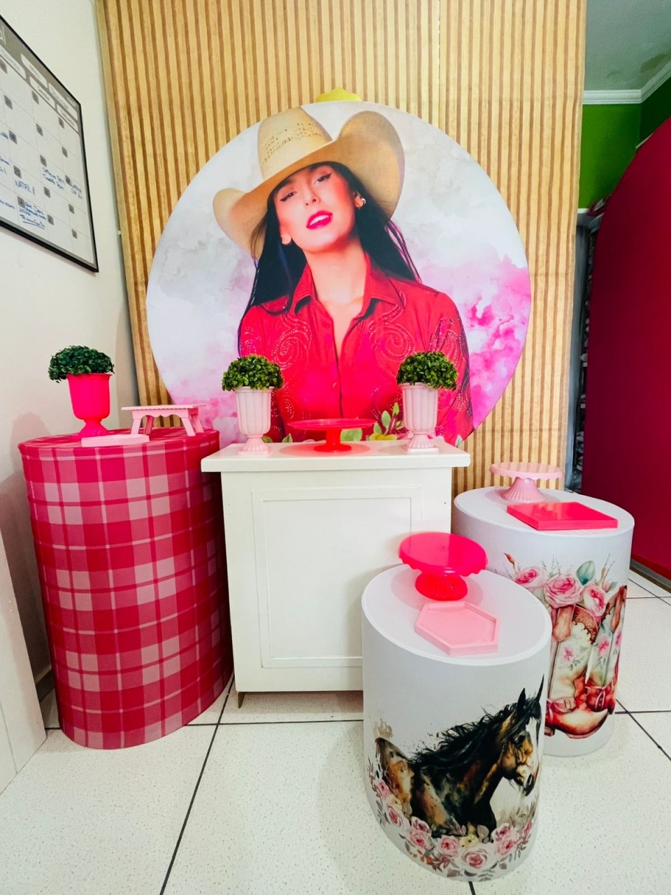Kit Personalizado - Ana Castela - karoline pedroso festas