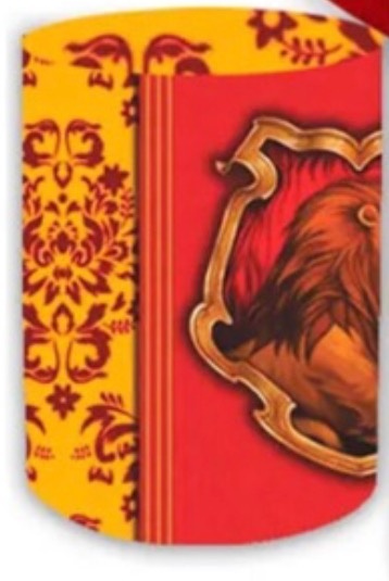 Capa Cilindro M - Harry Potter  - karoline pedroso festas
