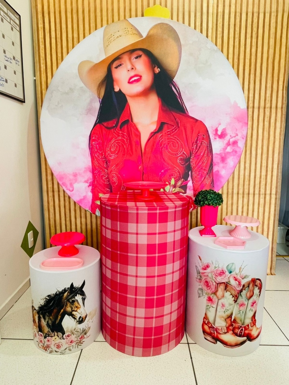 Kit Prata - Ana Castela  - karoline pedroso festas
