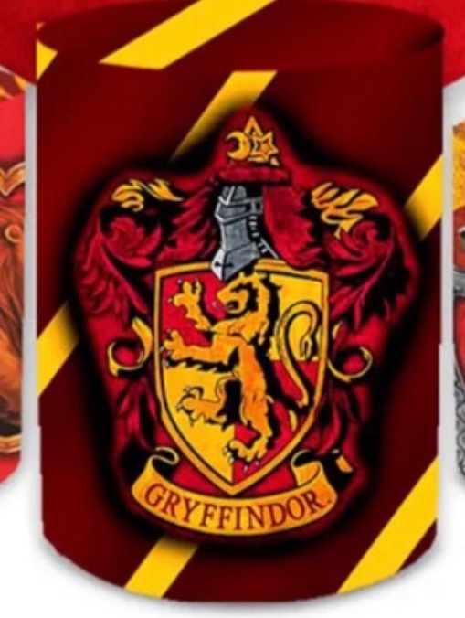 Capa Cilindro G - Harry Potter  - karoline pedroso festas