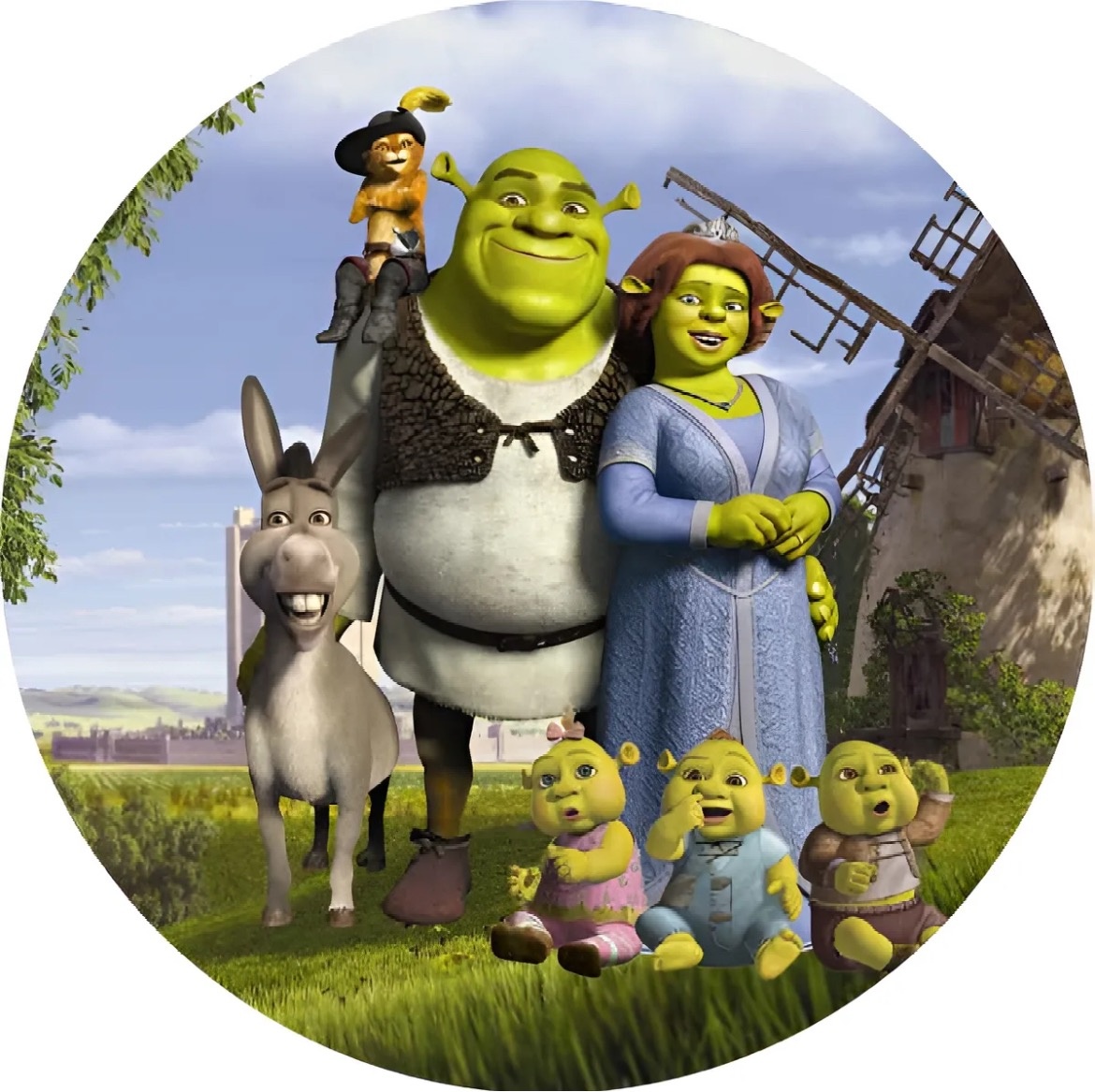 Mini Capa Painel Sherek 50Cm - karoline pedroso festas