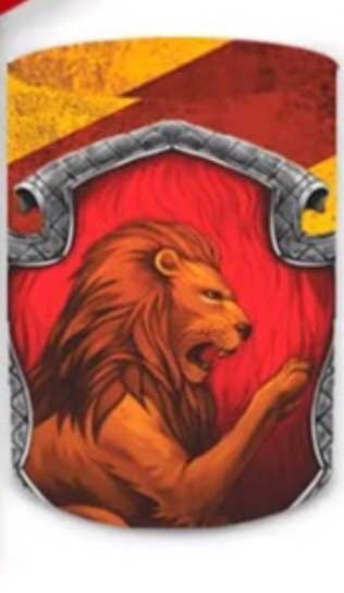 Capa Cilindro P - Harry Potter   - karoline pedroso festas
