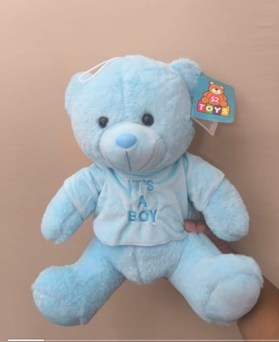 Urso Azul Boy - Wire Love Decor