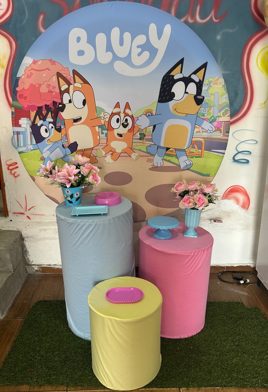 Bluey Rosa- Sonho Basico - Sonhadafesta