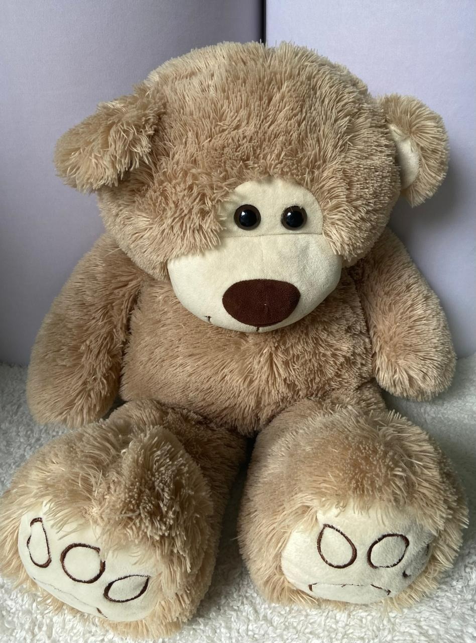 Urso Ted Marron - A FESTA E DECORAÇÃO