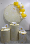 Kit Completo Com Balão Margaridas  - imagem 1
