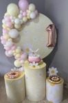 Kit Completo Com Balão Margaridas  - imagem 2
