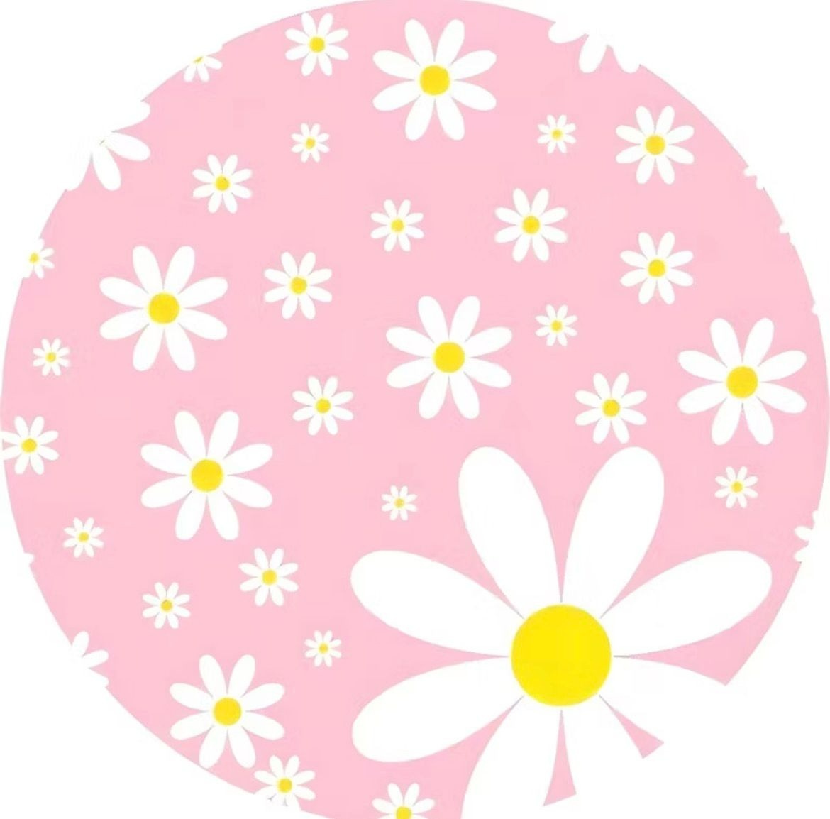 Capa Painel Margaridas Rosa  50X50   - A FESTA E DECORAÇÃO