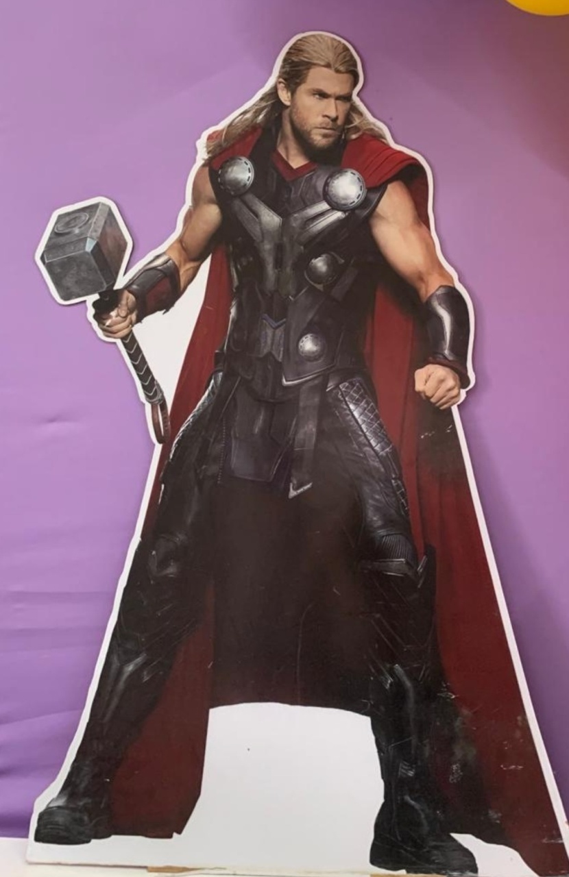 Toten Thor Heroi - A FESTA E DECORAÇÃO
