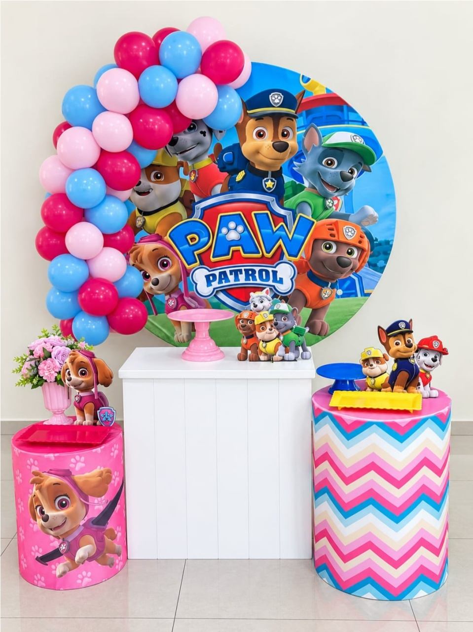 Patrulha Canina Menina Kit Completo Com Balões - A FESTA E DECORAÇÃO