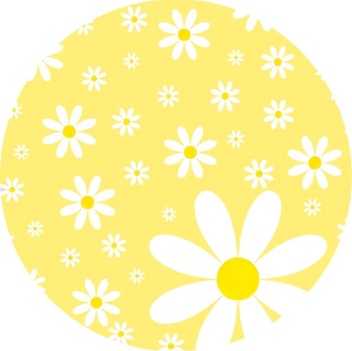 Capa Painel Margaridas Amarelo  50X50  - A FESTA E DECORAÇÃO
