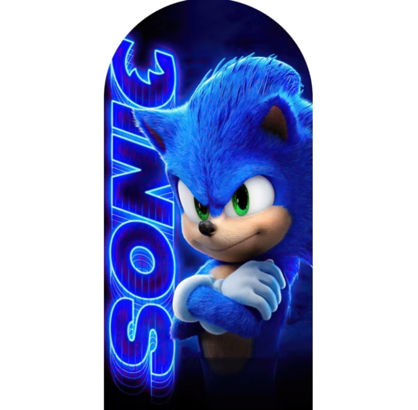 Capa Romano Sonic 1 - A FESTA E DECORAÇÃO