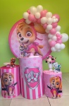 Kit Completo Com Balões Skye Parulha Canina - imagem 2