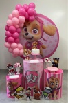 Kit Completo Com Balões Skye Parulha Canina - imagem 1