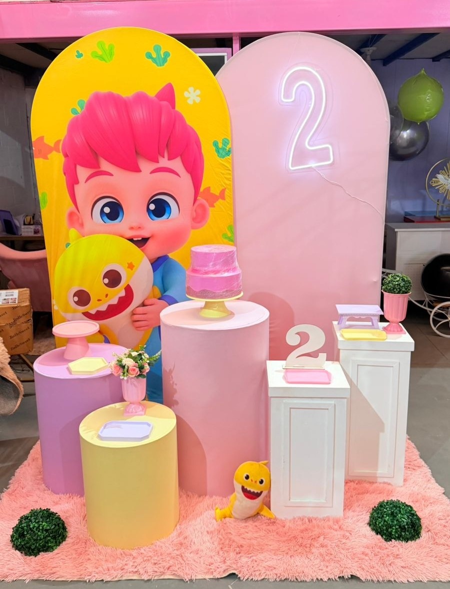 Romanos Bebe Fin + Rosa Bebe E Bomber Cubos  + Led Idade - suh pegue monte 