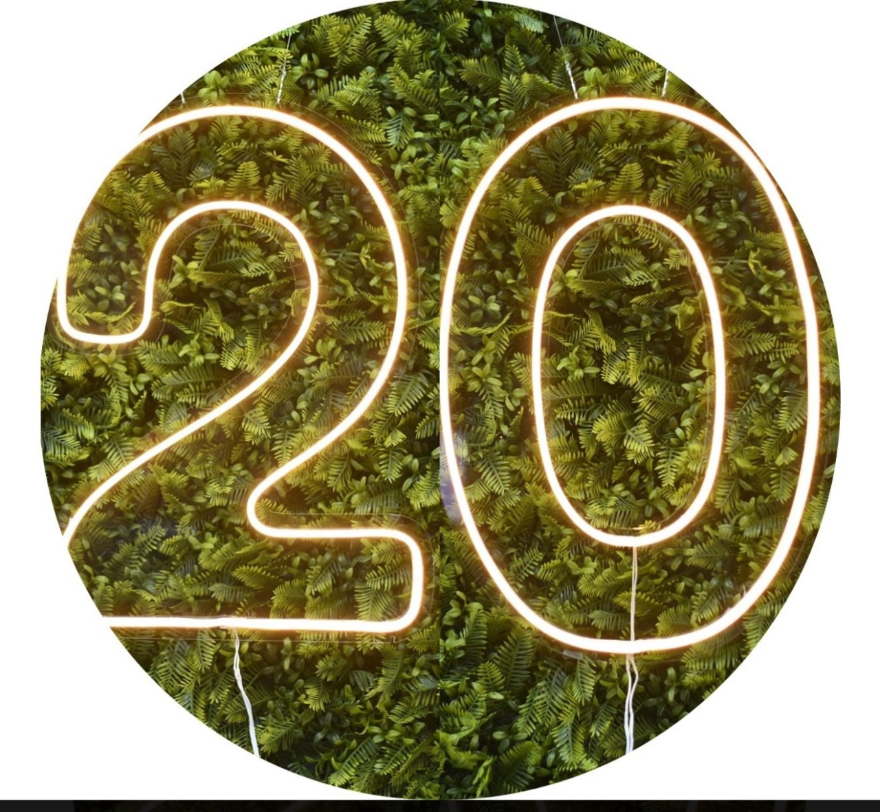 Idade 20 Em Led     - suh pegue monte 