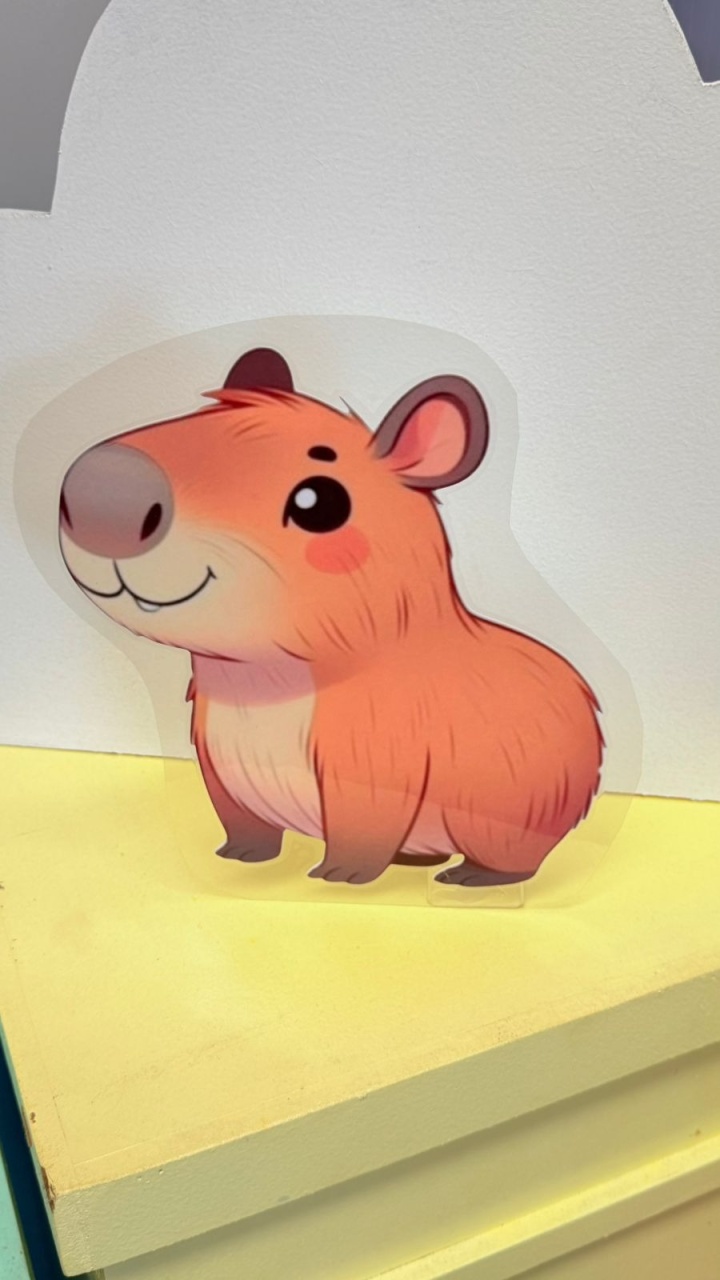 Display  Capivara 1 - suh pegue monte 