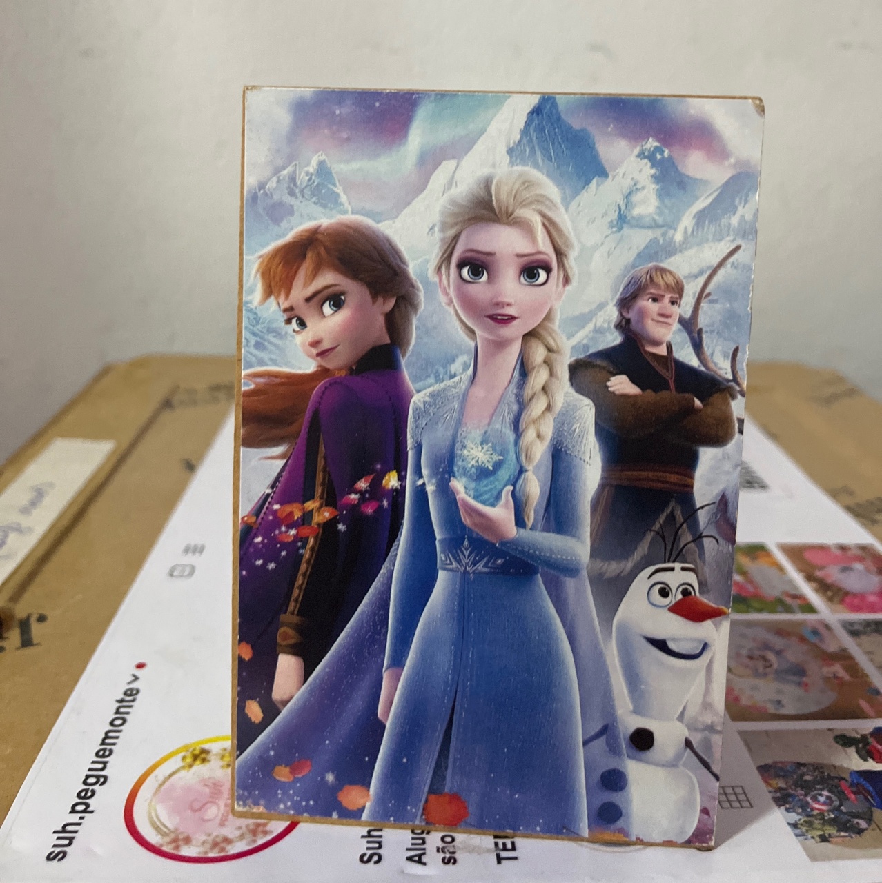 Display Quadro Frozen - suh pegue monte 