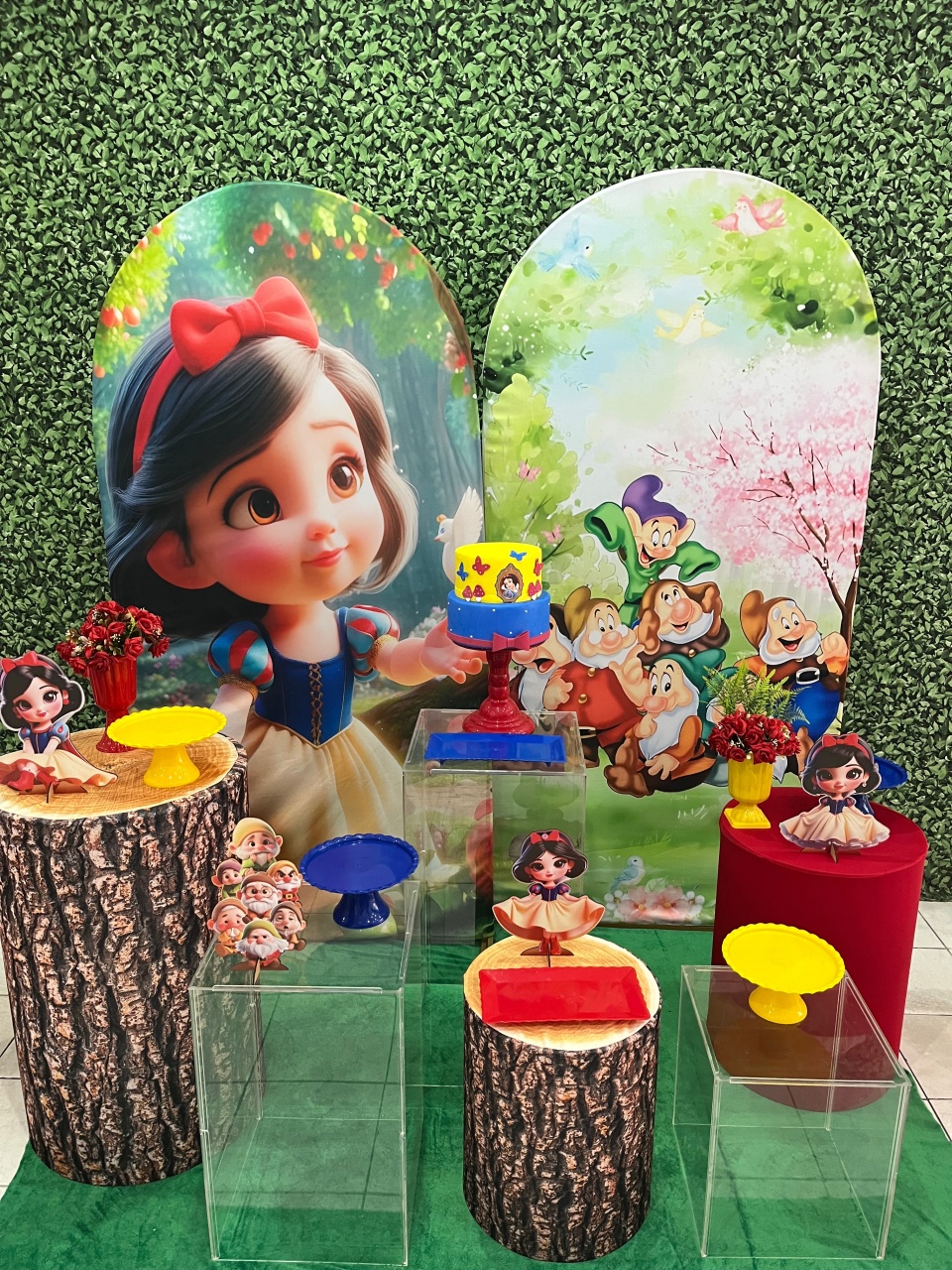 Branca de Neve 2 Cubos Acrílico Luxo - Preciosa Festas
