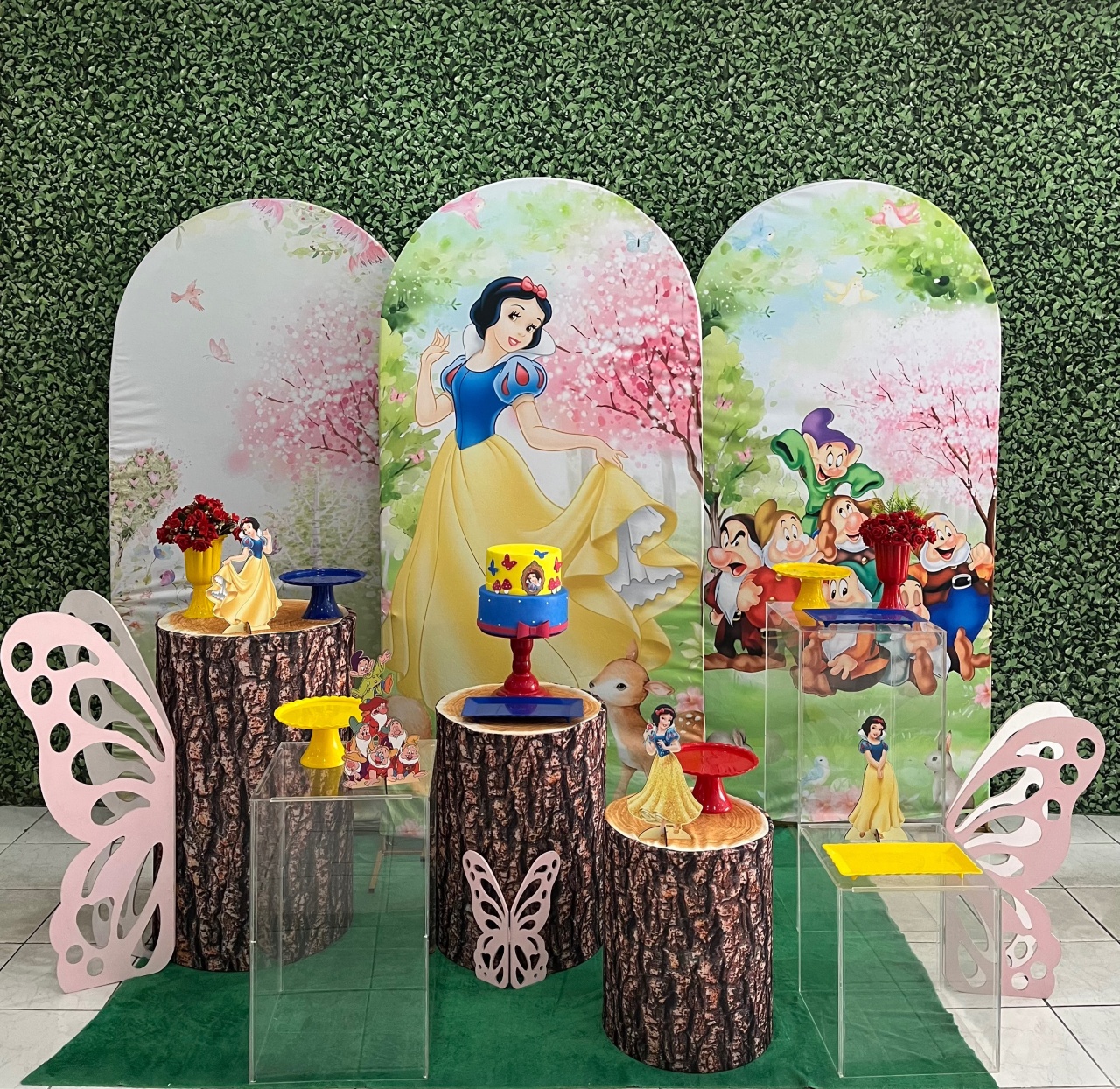 Branca de Neve Jovem, 3 Painéis E Cubos Acrílico Luxo - Preciosa Festas