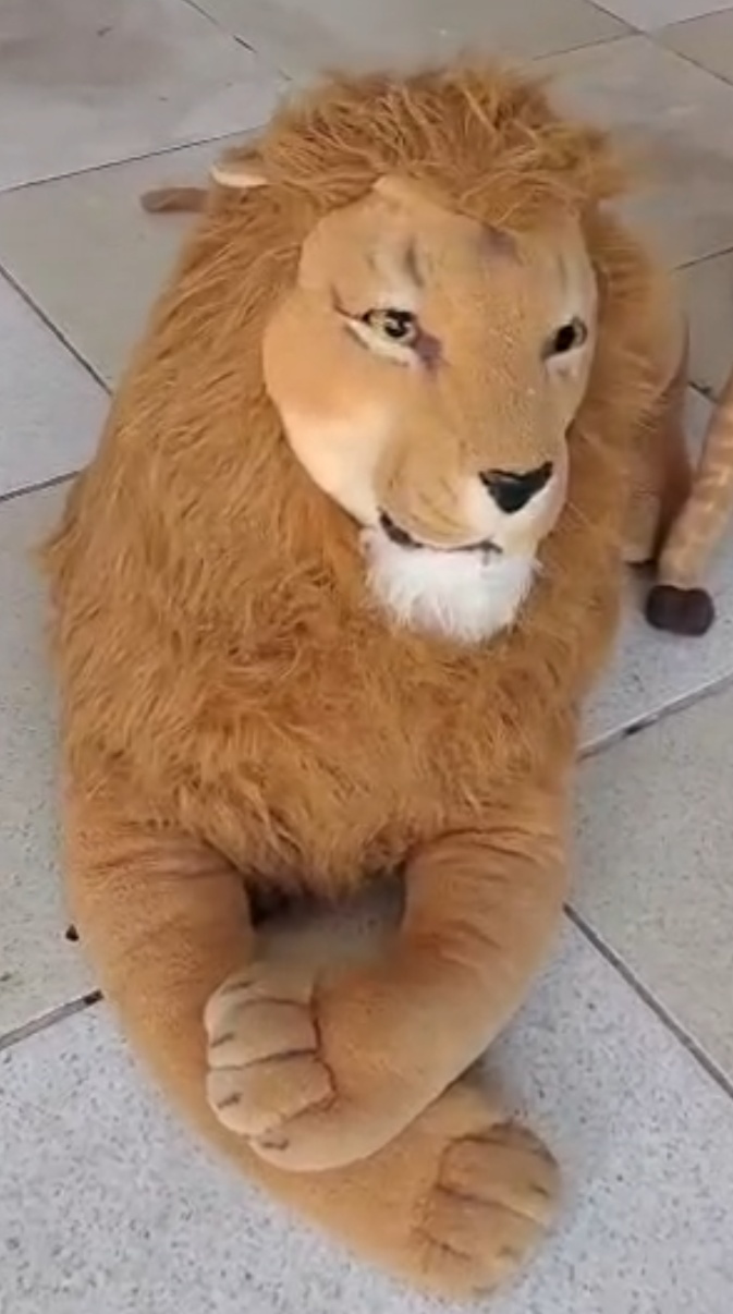 Leão Pelucia Grande  - Brilhar Festas e Locações