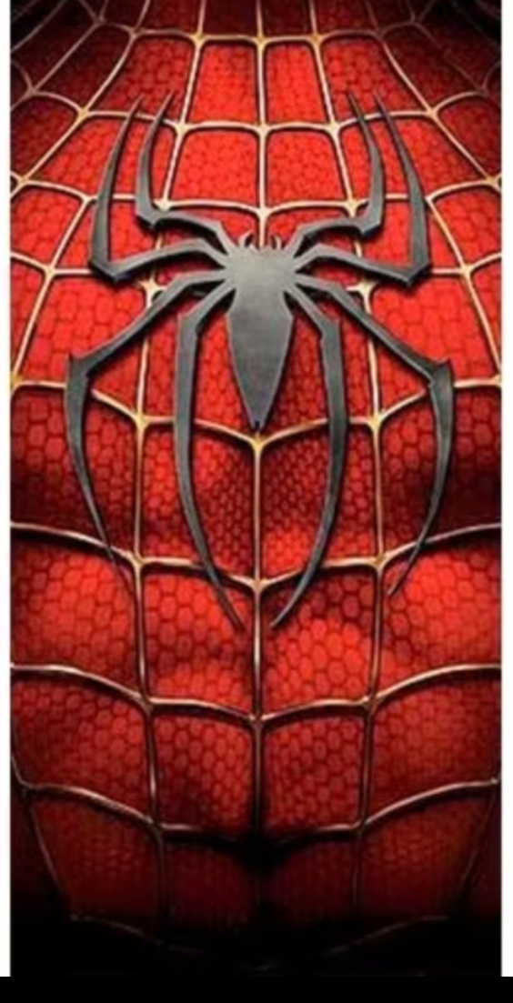 Painel Lateral Homem Aranha  - Brilhar Festas e Locações
