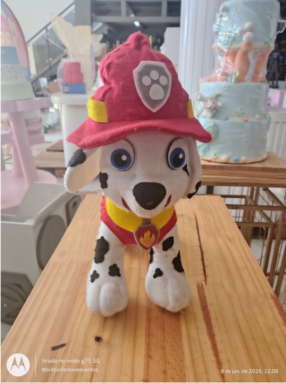 Personagem Feltro Marshall Patrulha Canina - Brilhar Festas e Locações