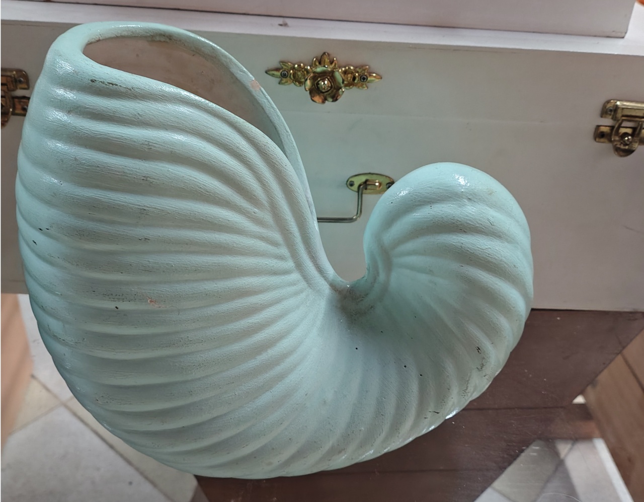 Jarro Concha Verde Água Porcelana - Brilhar Festas e Locações