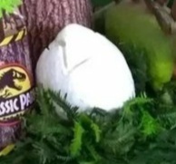 Ovo Dinossauro - Brilhar Festas e Locações