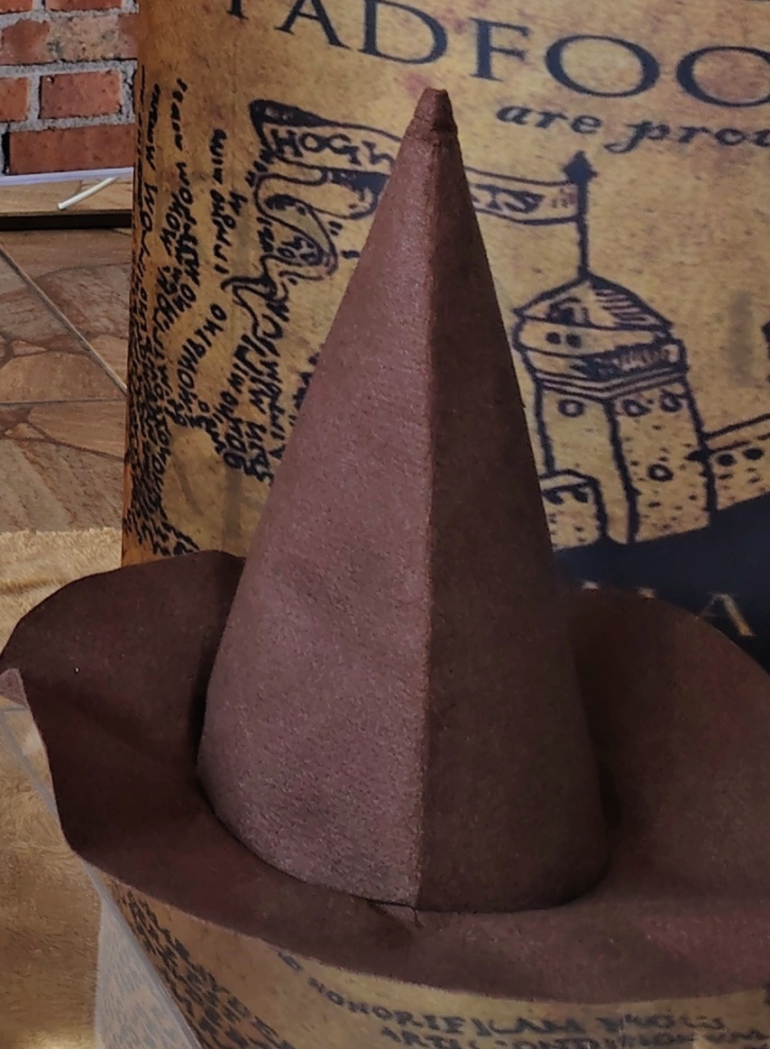 Chapéu Bruxo Harry Potter - Brilhar Festas e Locações