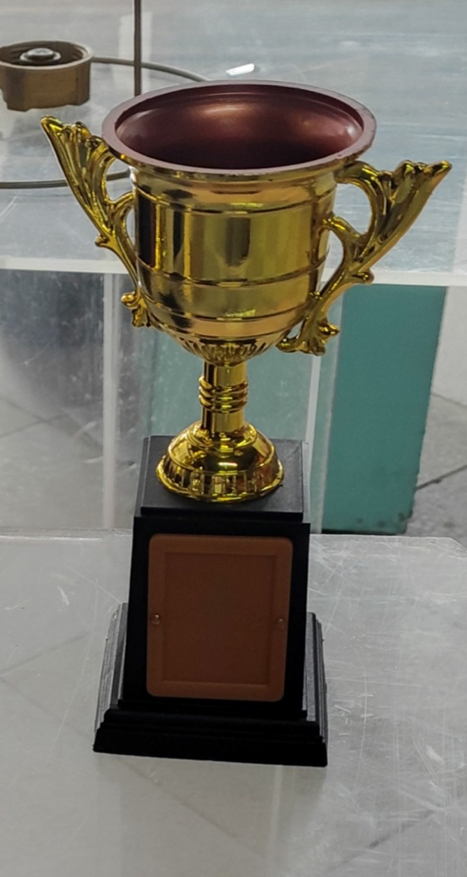 Taça Troféu P - Brilhar Festas e Locações