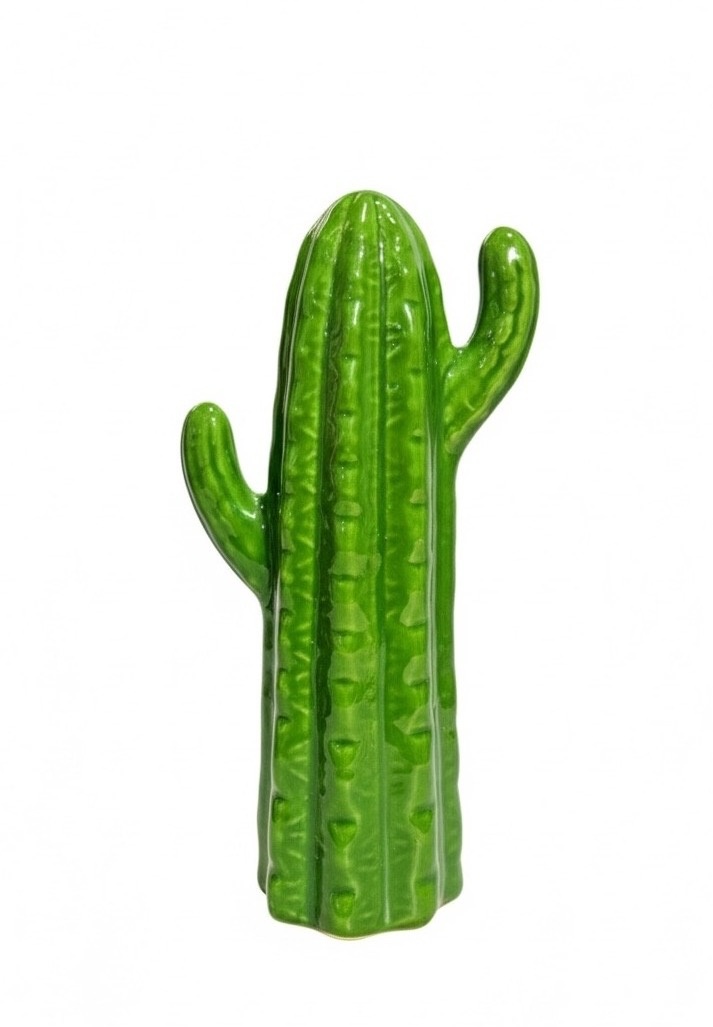 Cacto Cerâmica P - daydecorafestas