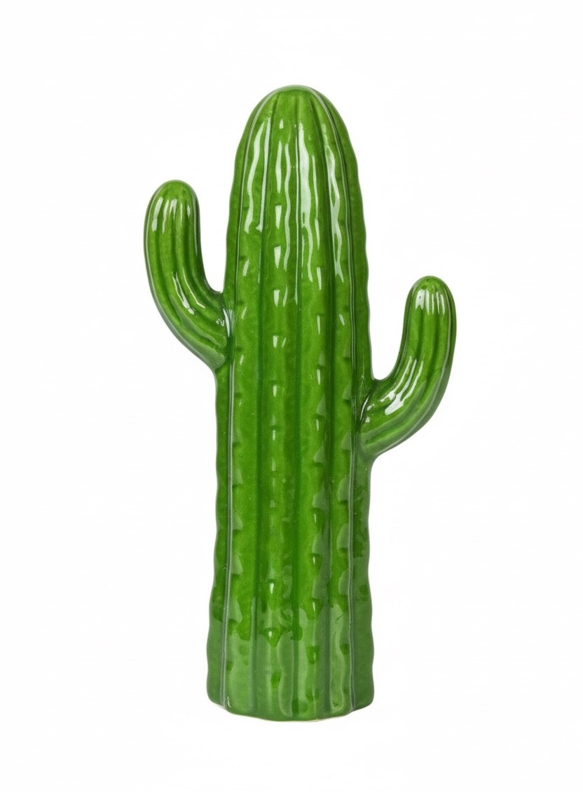 Cacto Cerâmica M - daydecorafestas