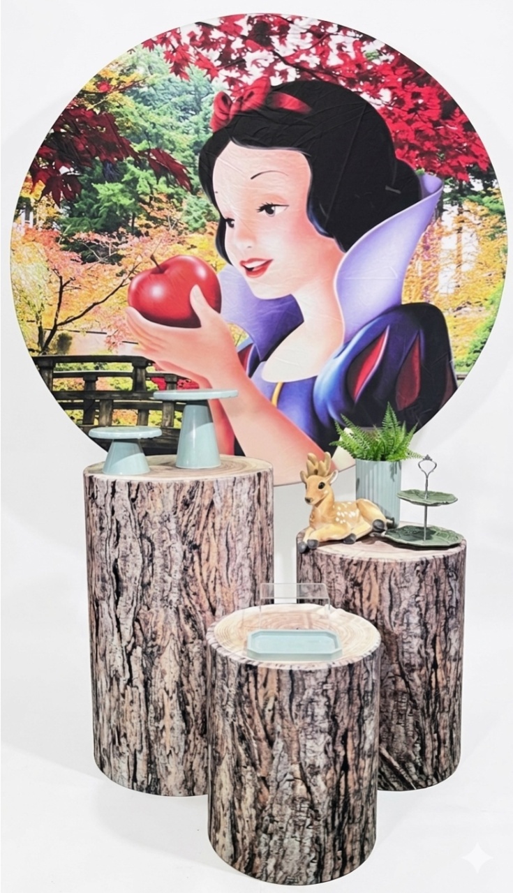 Kit - Branca de Neve - daydecorafestas