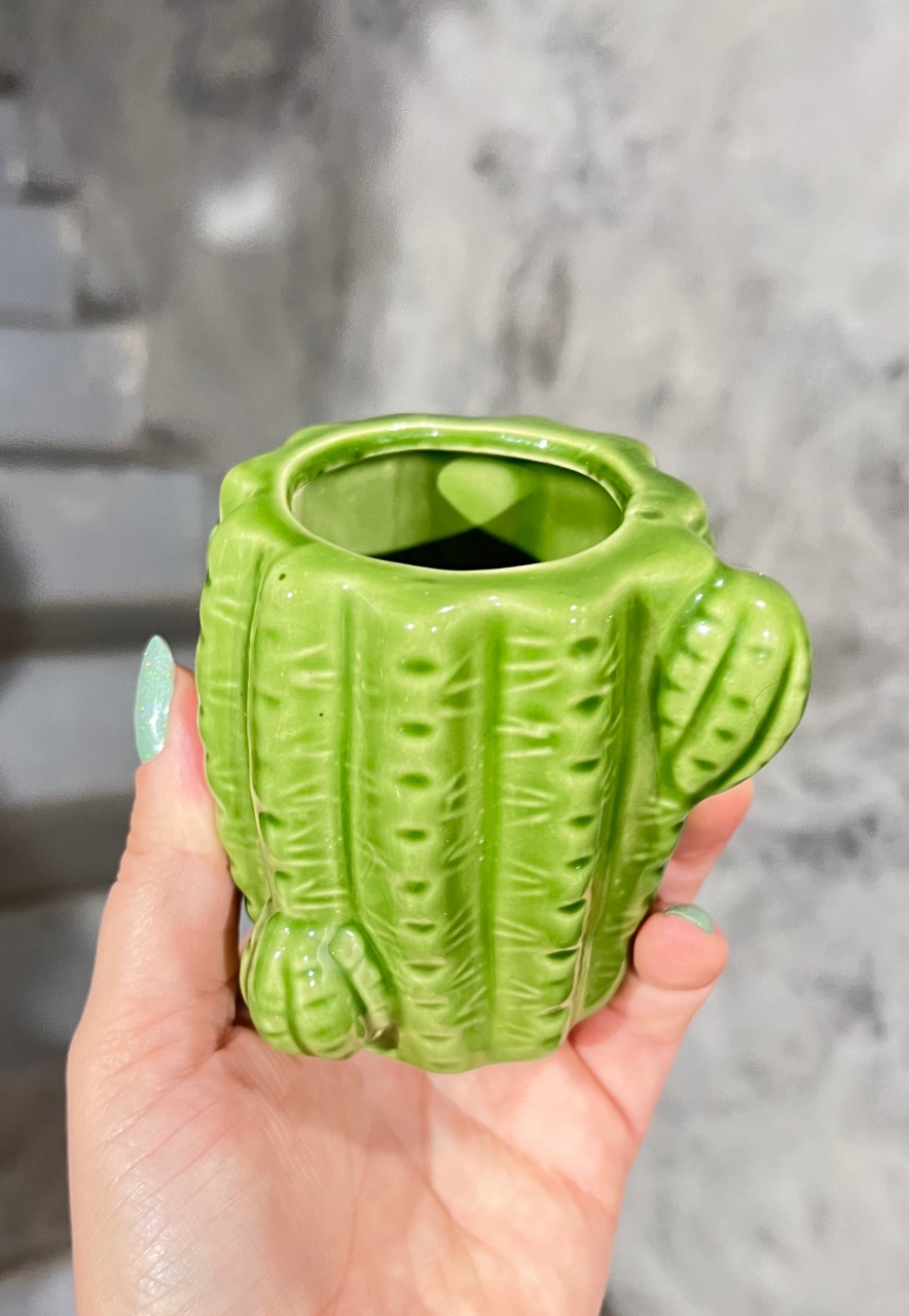 Vaso Cacto - Cerâmica - Pp - daydecorafestas