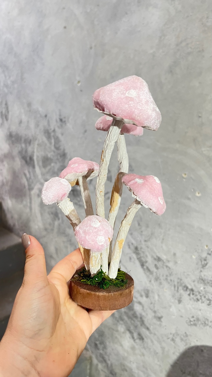 Cogumelo Rosa Pelinho - daydecorafestas