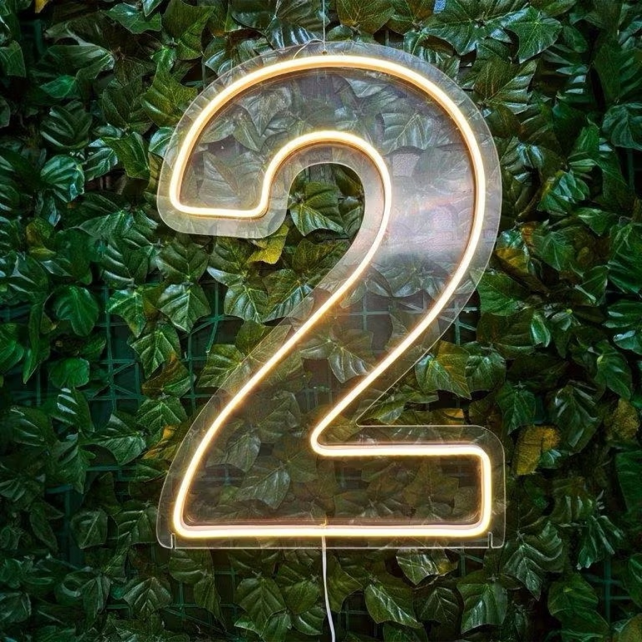 Número de Led - 2 - daydecorafestas
