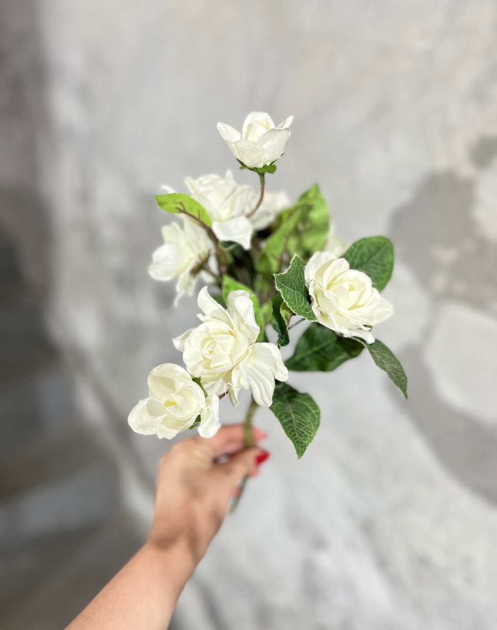 Flores Branca - daydecorafestas