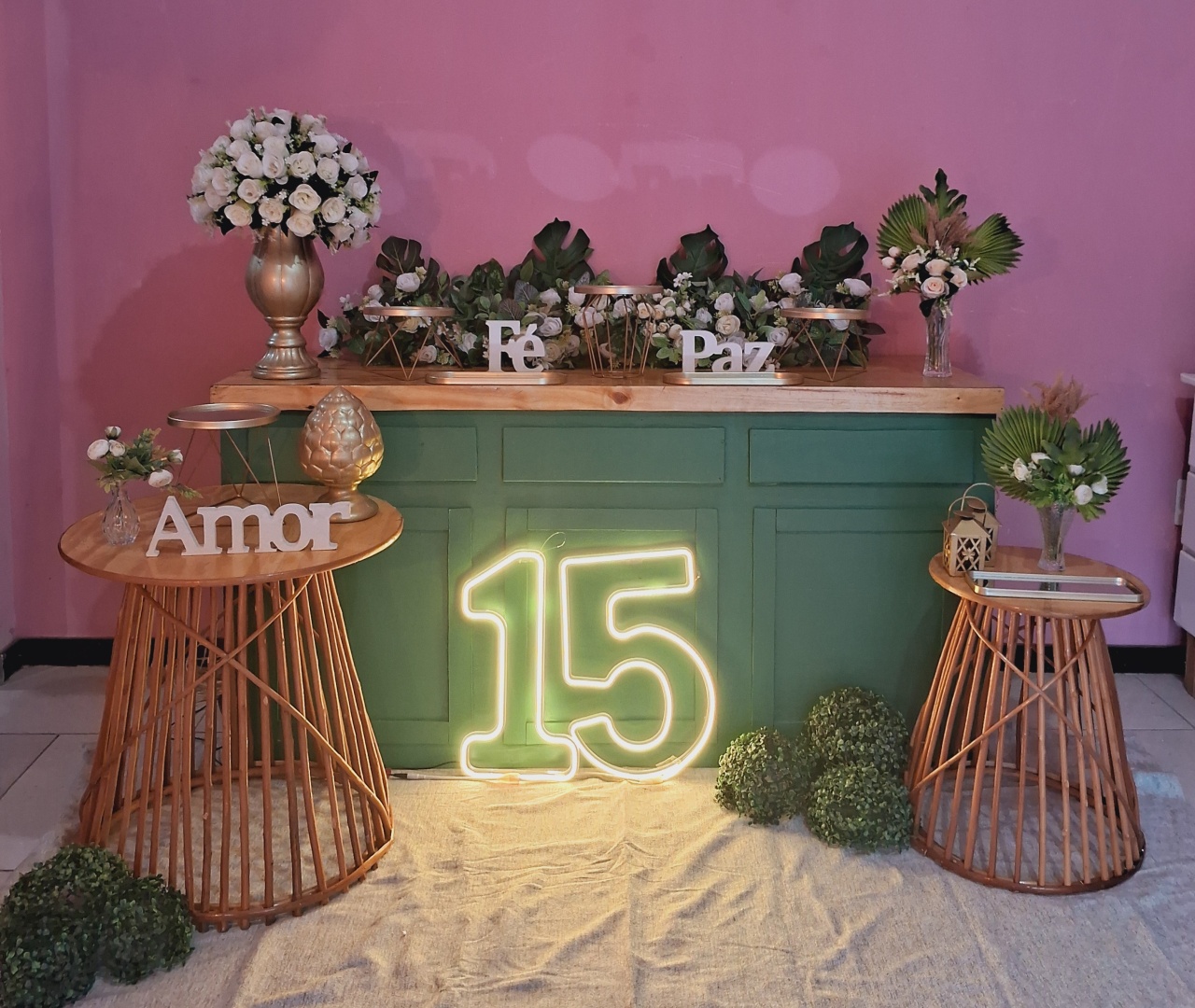 15 Anos - yasmim pires oliveira