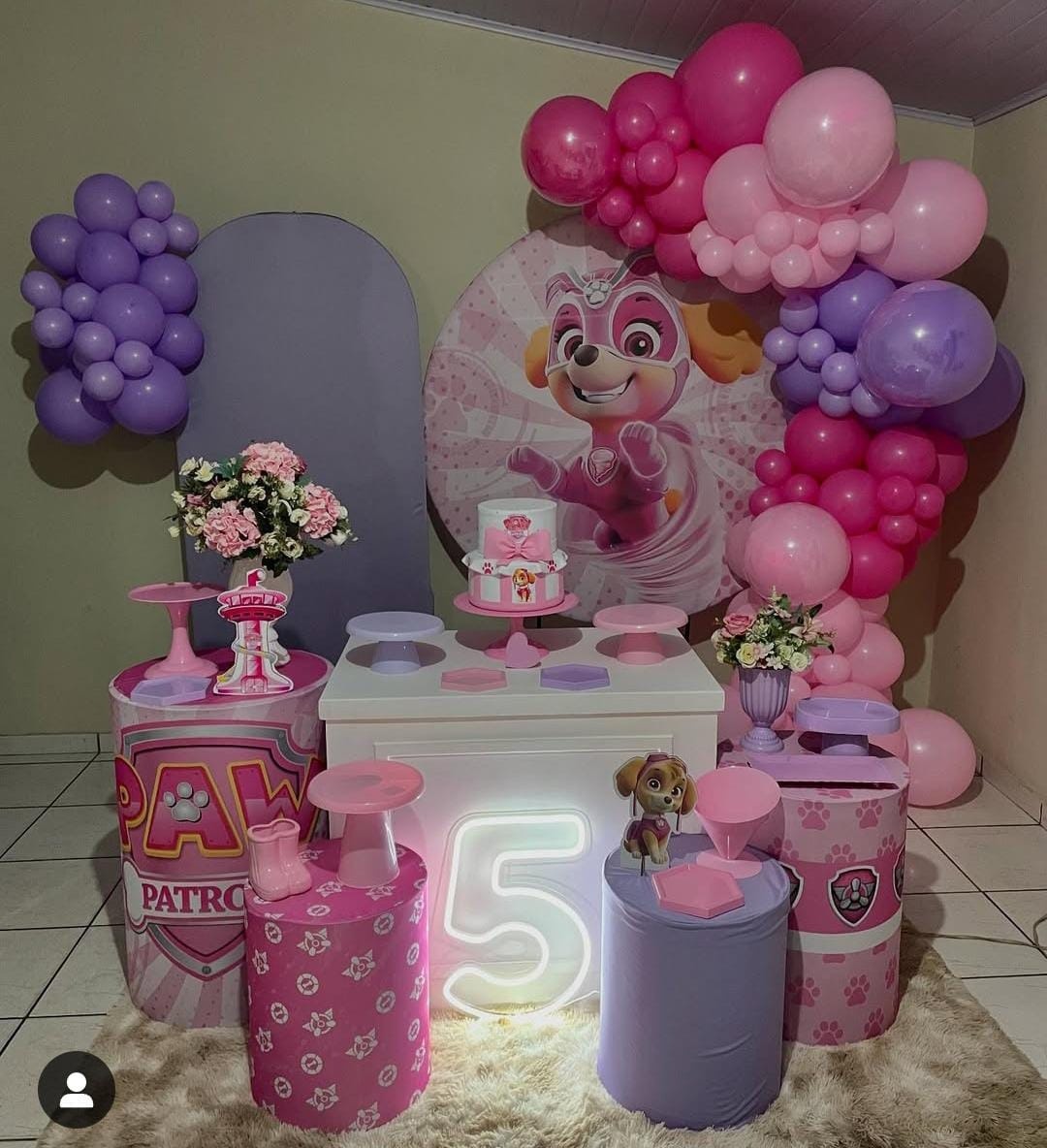 Skye Patrulha Canina Decoração  - Mila e Dry Decora e Loca 