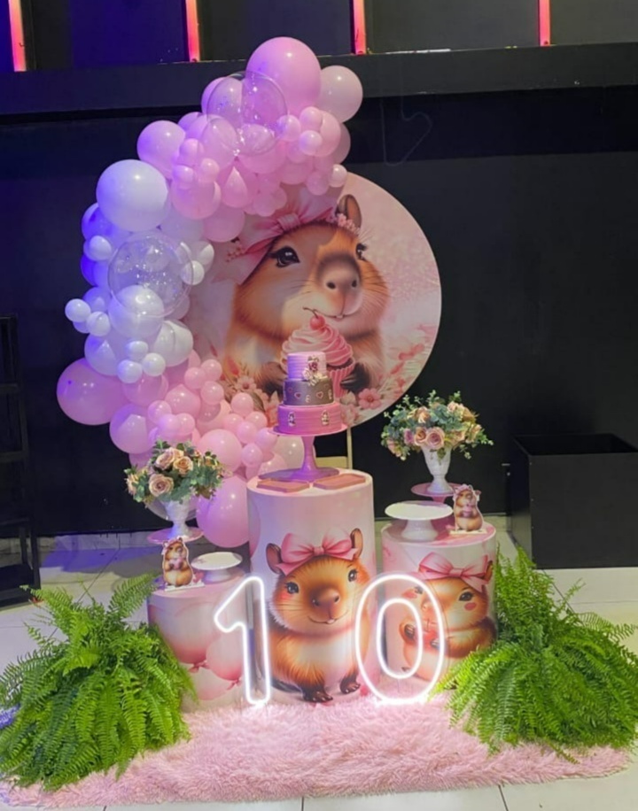 Decoração Capivara  - Mila e Dry Decora e Loca 