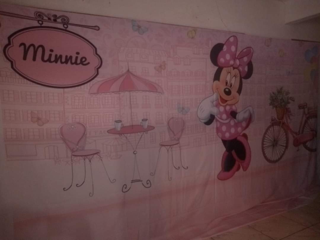 Minnie Rosa 4,50M - Fabricando Festa Por RFProvençais