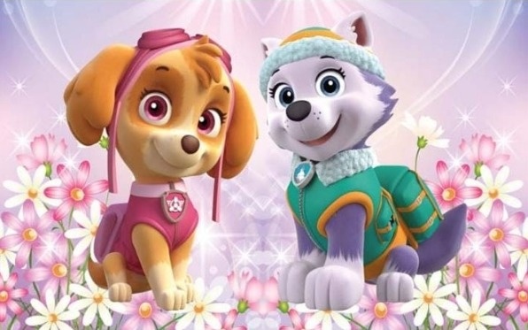 Patrulha Canina 5 M  Skay - Fabricando Festa Por RFProvençais
